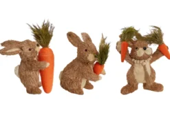 LAPIN ET SA CAROTTE