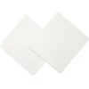 LINGETTE REUTILISABLE X2 PIECES