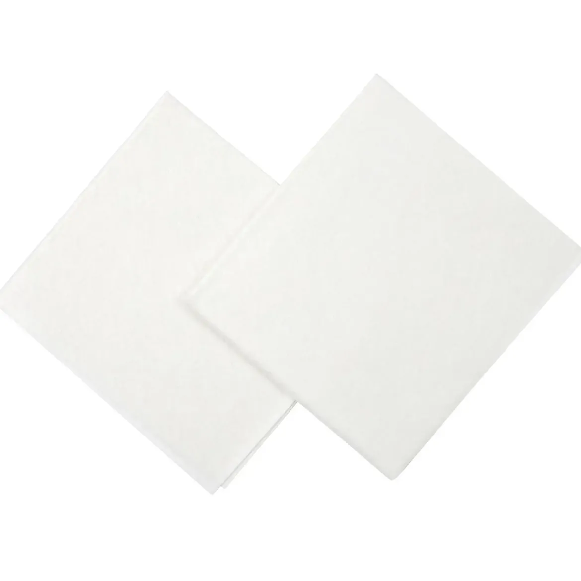 LINGETTE REUTILISABLE X2 PIECES