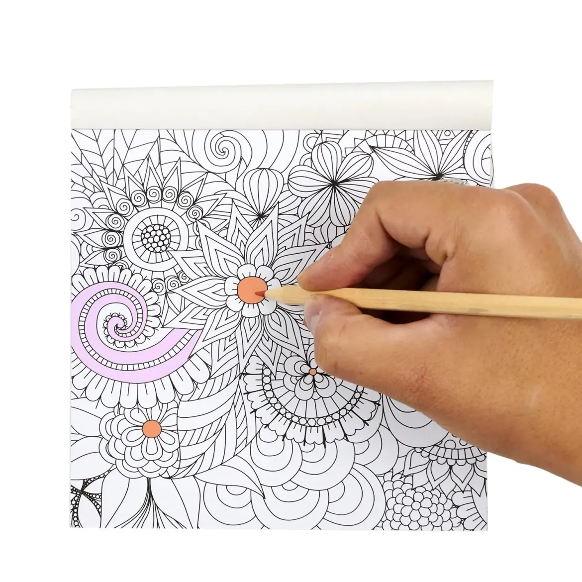 LIVRE COLORIAGE ADULTE VOYAGE 24 PAGES