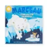 LIVRE OURS MARCEAU