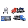 MINI CAMION A PLATEFORME ET QUAD