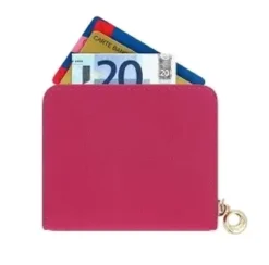 MINI COMPAGNON ANTI PIRATAGE DAIM