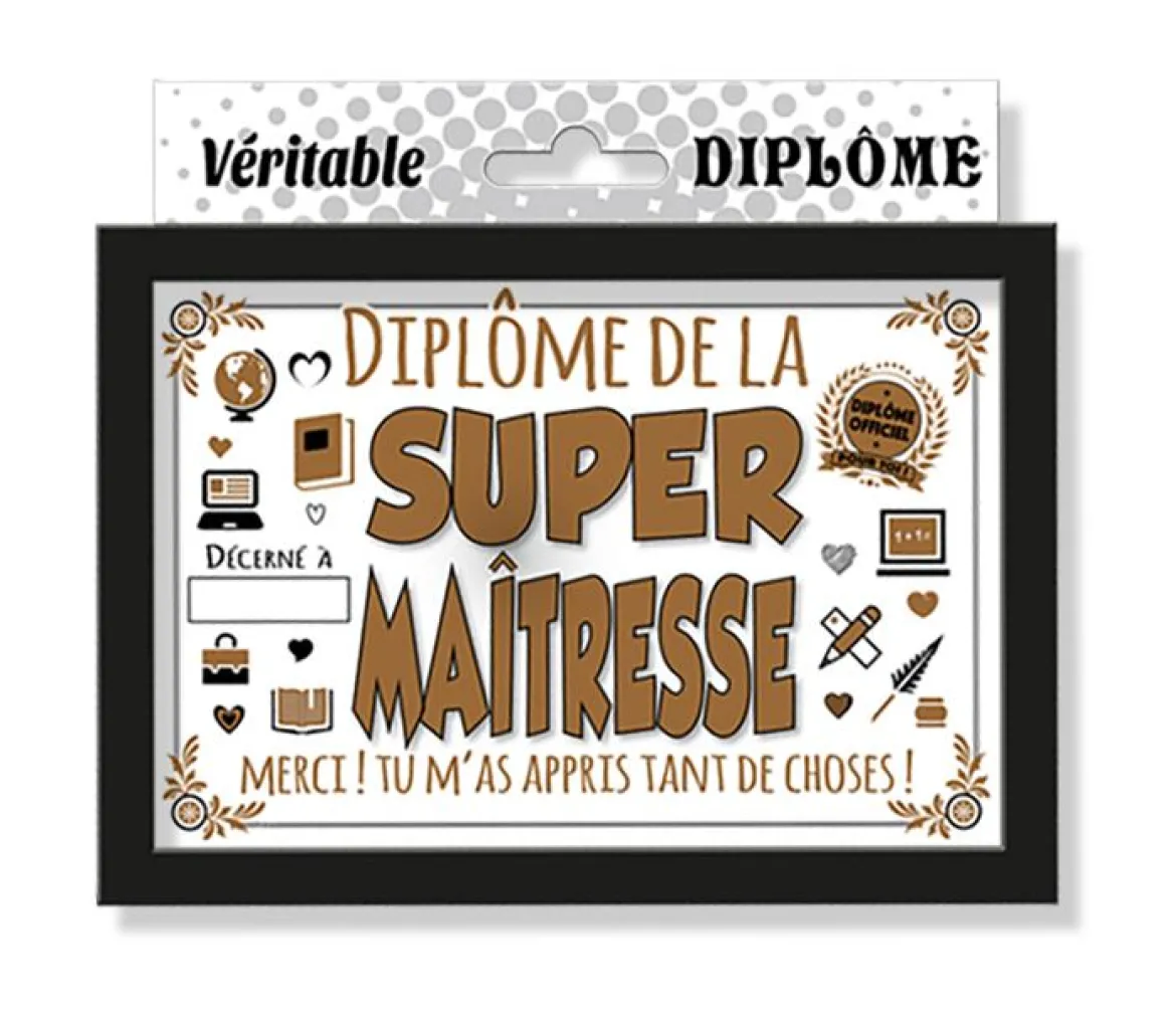 MINI DIPLOME