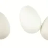OEUF PLASTIQUE BLANC 6X4CM X8 PIECES