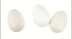 OEUF PLASTIQUE BLANC 6X4CM X8 PIECES
