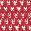 PAPIER CADEAU 4C CERF 500X70CM