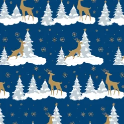 PAPIER CADEAU TRADITIONNEL 200X70CM
