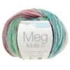 PELOTE DE FIL TRICOT MEG ACRYLIQUE MULTICOLORE 50G