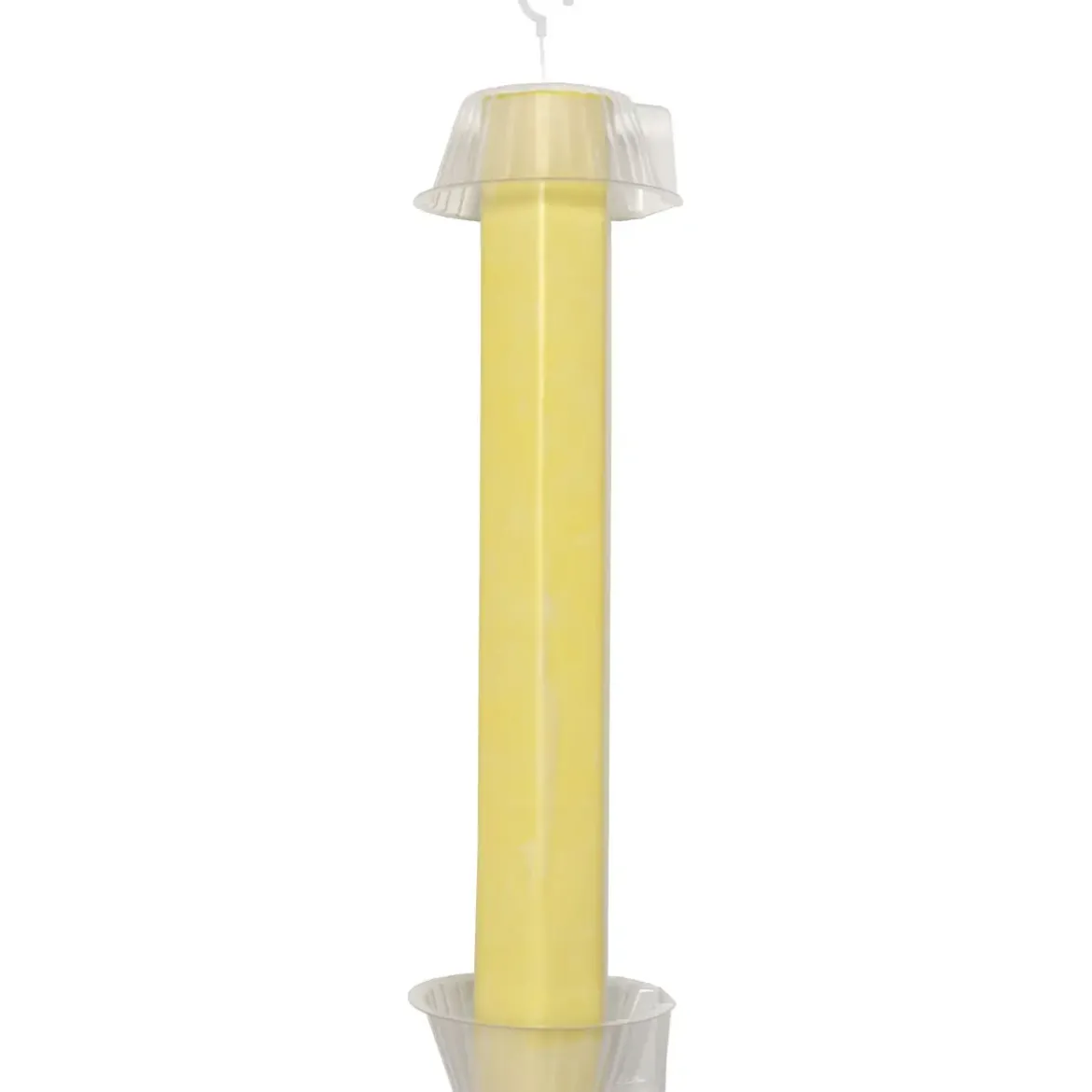 PIEGE INSECTES COLLANT JAUNE