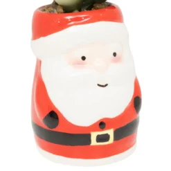 PLANTE POT NOEL H.11CM
