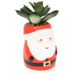 PLANTE POT NOEL H.11CM