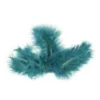 PLUME DE DECORATION X20 PIECES VERT