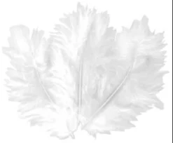 PLUMES BLANCHES 10 CM X 50 PCS