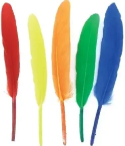 PLUMES NATURELLES INDIENNES 7 A 15CM X120 PIECES