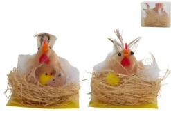 POULE PLUMEE DANS SON NID