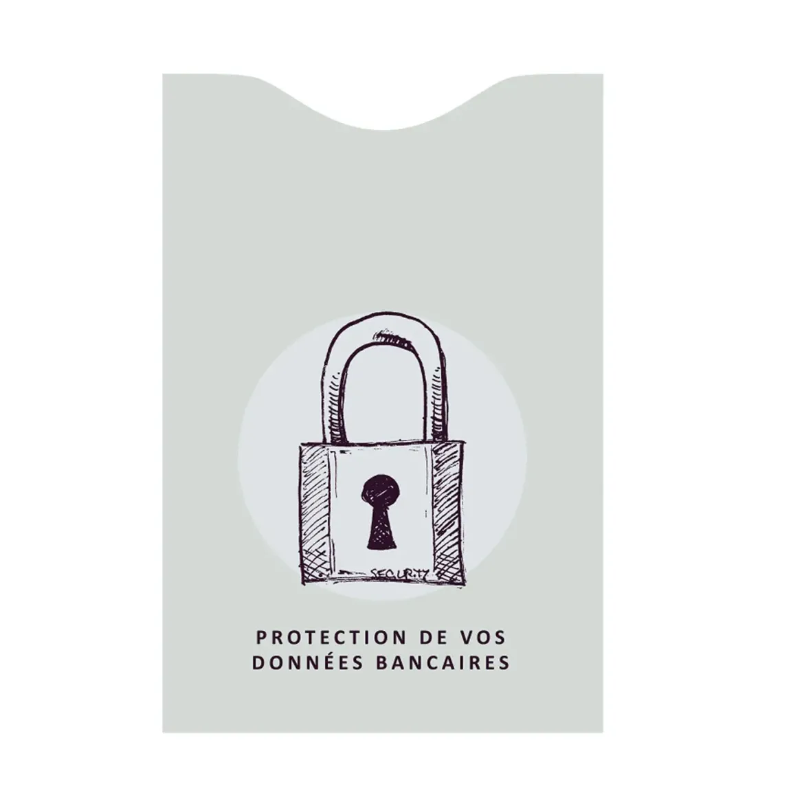 PROTEGE CARTE ANTI PIRATAGE