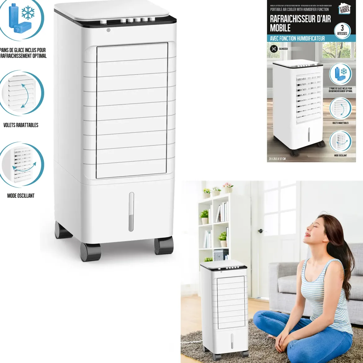 RAFRAICHISSEUR D AIR 65W 5L