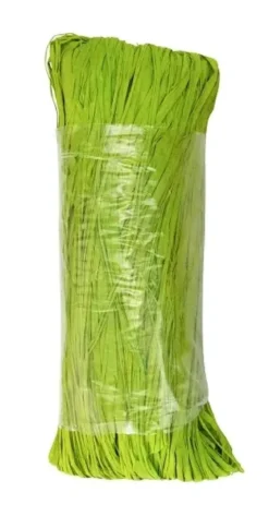 RAPHIA NATUREL VERT CLAIR 50G