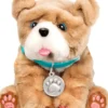 ROLLIE LE CHIOT