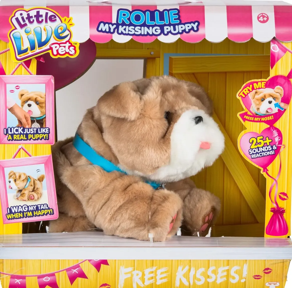 ROLLIE LE CHIOT