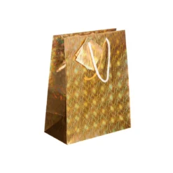 SAC CADEAU LASER D.17.8X22.9X9.8CM
