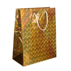 SAC CADEAU LASER D.26X32.4X12.7CM