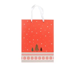 SAC CADEAU NOEL 21.5X8X28.5CM