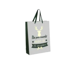 SAC CADEAU NOEL 21.5X8X28.5CM