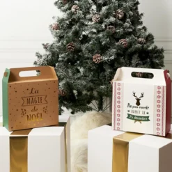 SAC CADEAU PLIABLE NOEL 27X14X24CM