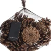 SACHET POMMES PIN 300G