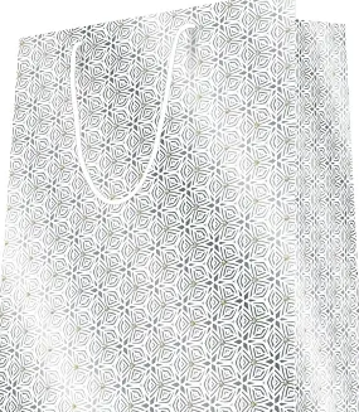 SAC KDO PORTRAIT METALLISE 2020 PF 18X23CM