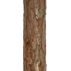 SAPIN NORDSTAR H.180CM
