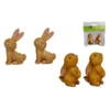 SET 2 LAPINS