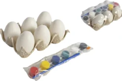 SET 6 OEUFS A PEINDRE PEINTURE ET 2 PINCEAUX