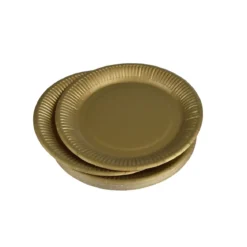 SET 20 ASSIETTES RONDES CARTON D.23CM OR