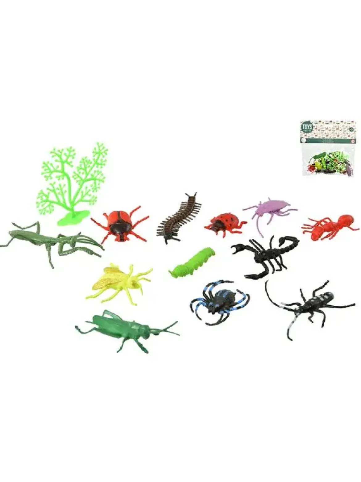 SET 13 INSECTES