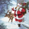 SET 20 SERVIETTES 3 PLIS 33X33CM PERE NOEL ET SES RENNES