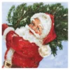 SET 20 SERVIETTES 3 PLIS 33X33CM PERE NOEL