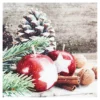 SET 20 SERVIETTES 3 PLIS 33X33CM POMME