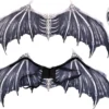 SQUELETTE D AILES DE CHAUVE SOURIS