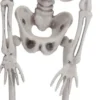 SQUELETTE HALLOWEEN 42CM