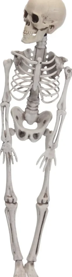 SQUELETTE HALLOWEEN 42CM