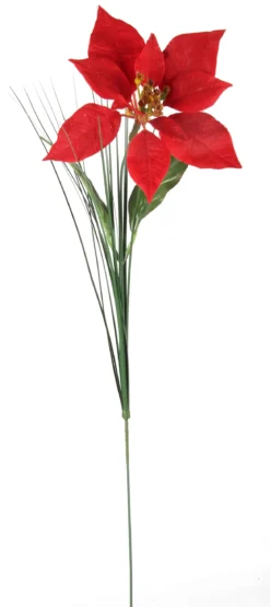 TIGE POINSETTIA H.67CM ROUGE