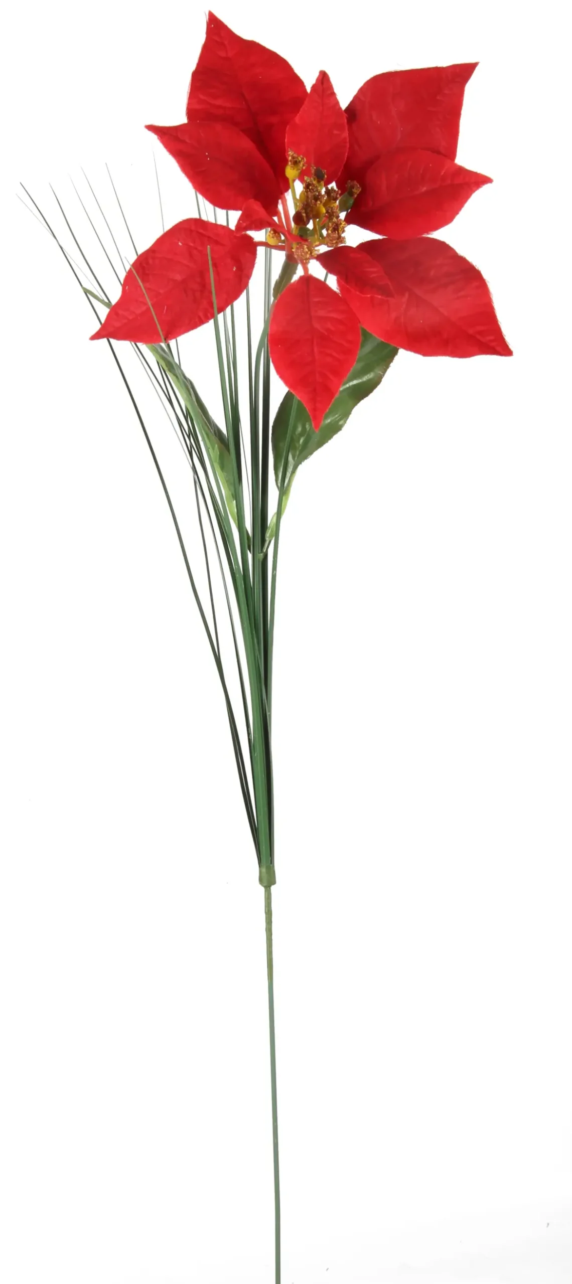 TIGE POINSETTIA H.67CM ROUGE