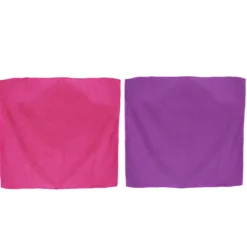 TORCHON MICROFIBRE AIMANTE 40X50CM X2