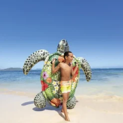TORTUE A CHEVAUCHER